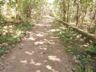 Jalan Rusak Parah di Desa Tambak, Warga Geram: Dana Desa Dipertanyakan