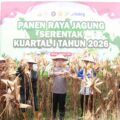 Polres Malang Panen Raya Jagung, Hasil 8 Ton untuk Dukung Stok Pangan