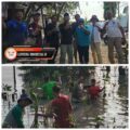 Ratusan Relawan Tanam 3.000 Bibit Mangrove di Pesisir Surabaya