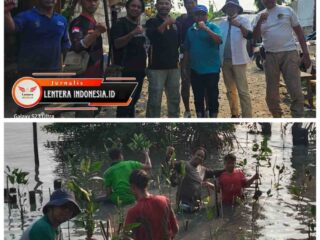 Ratusan Relawan Tanam 3.000 Bibit Mangrove di Pesisir Surabaya