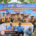 Polsek Kenjeran,Dukung Ketahanan Pangan, Panen Jagung Di Jalan Tambak Wedi Baru