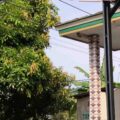 Kabel PLN Bergelantung Mengganggu Masyarakat, Aduan Masyarakat Tak di Hiraukan PLN