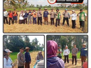 Dari Desa Besuk Menguatkan Pangan Nasional, Kapolres Aryo Apresiasi Gerakan Polsek Klabang
