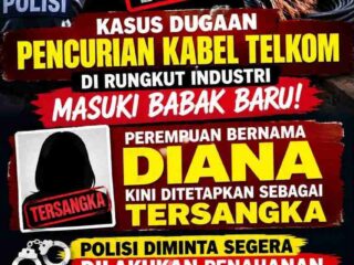Polisi Tetapkan Diana sebagai Tersangka Kasus Dugaan Pencurian Kabel Telkom di Rungkut Industri, LSM GAPRAK Apresiasi Kinerja Tipikor